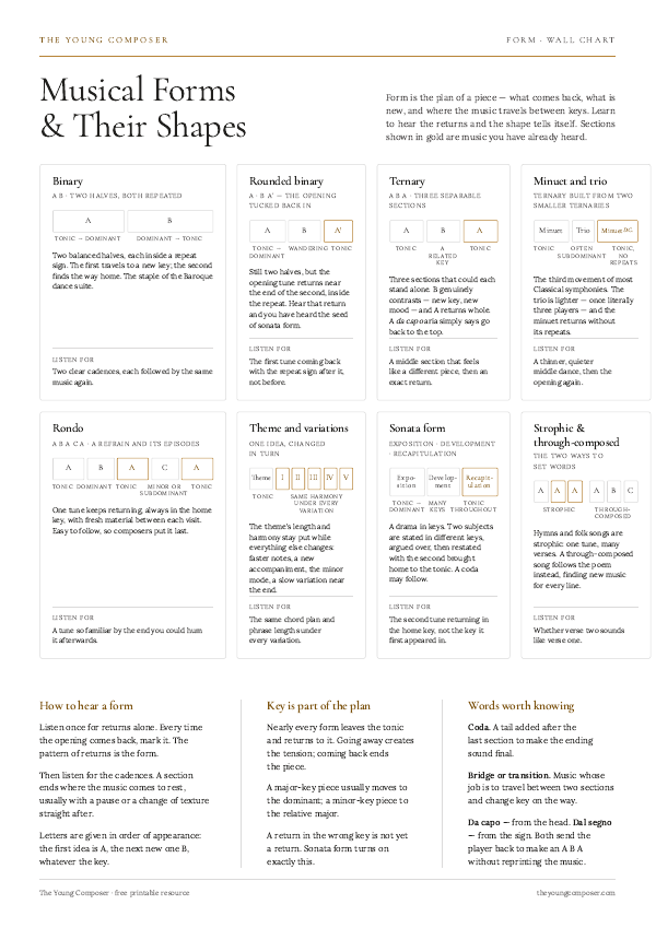 Cover of Musical Forms & Their Shapes