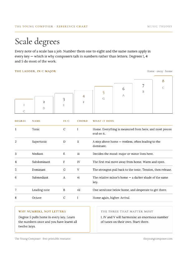 Cover of Scale Degrees